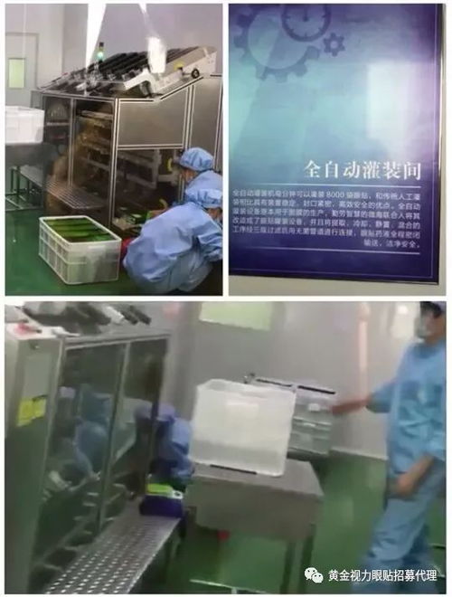 黃金視力眼貼新工廠開放日 代理商參觀見證品質(zhì)升級(jí)，國(guó)內(nèi)廣告布局引領(lǐng)市場(chǎng)新浪潮