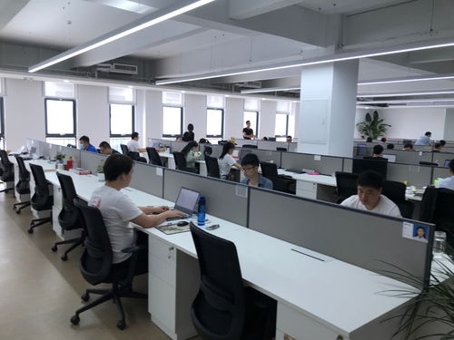 聚焦石家莊電子信息產(chǎn)業(yè) 神玥軟件堅(jiān)持?jǐn)?shù)字化發(fā)展，迎來(lái)發(fā)展黃金期